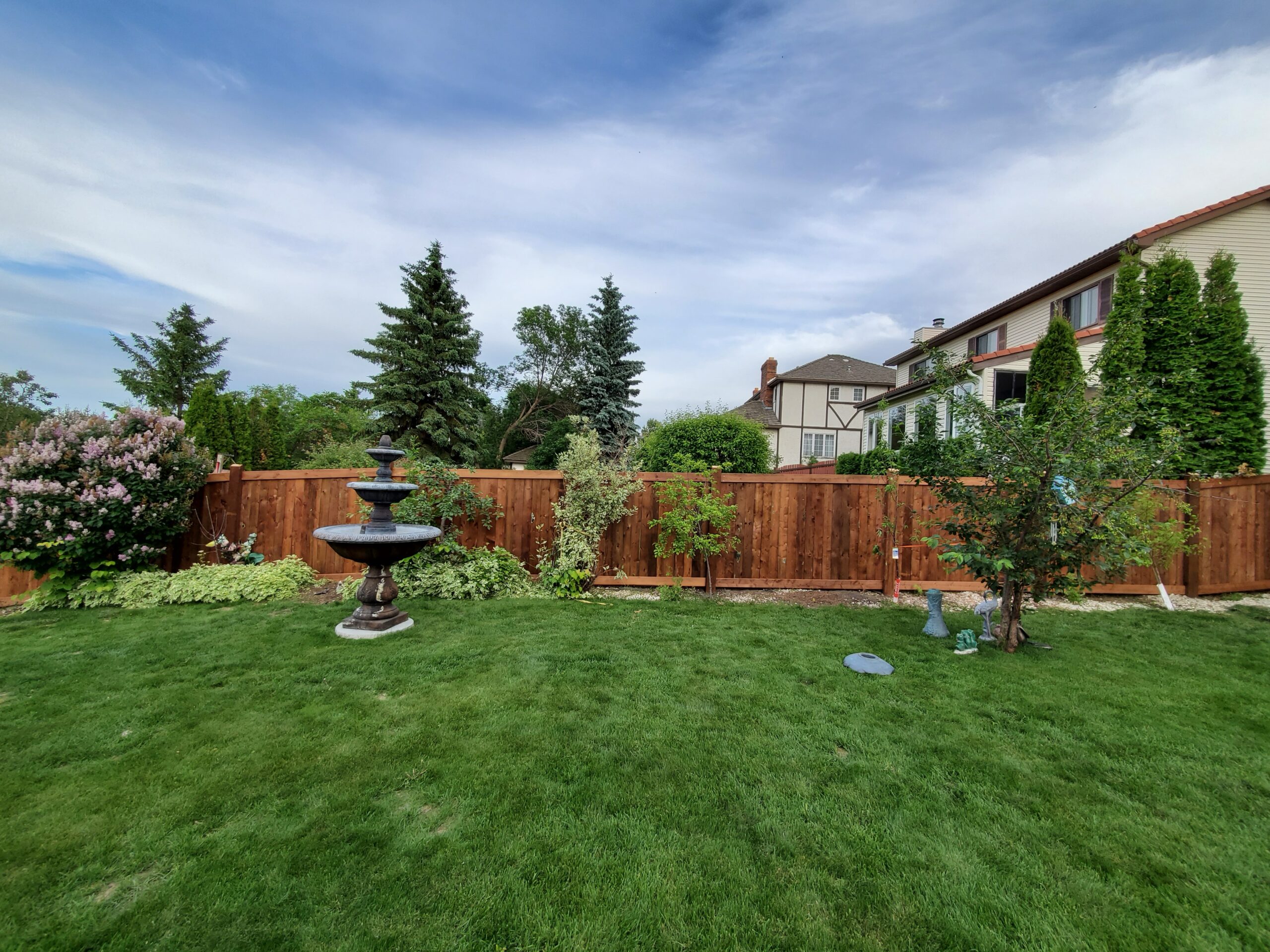 Pressure-treated privacy fence in landscaped Edmonton backyard
