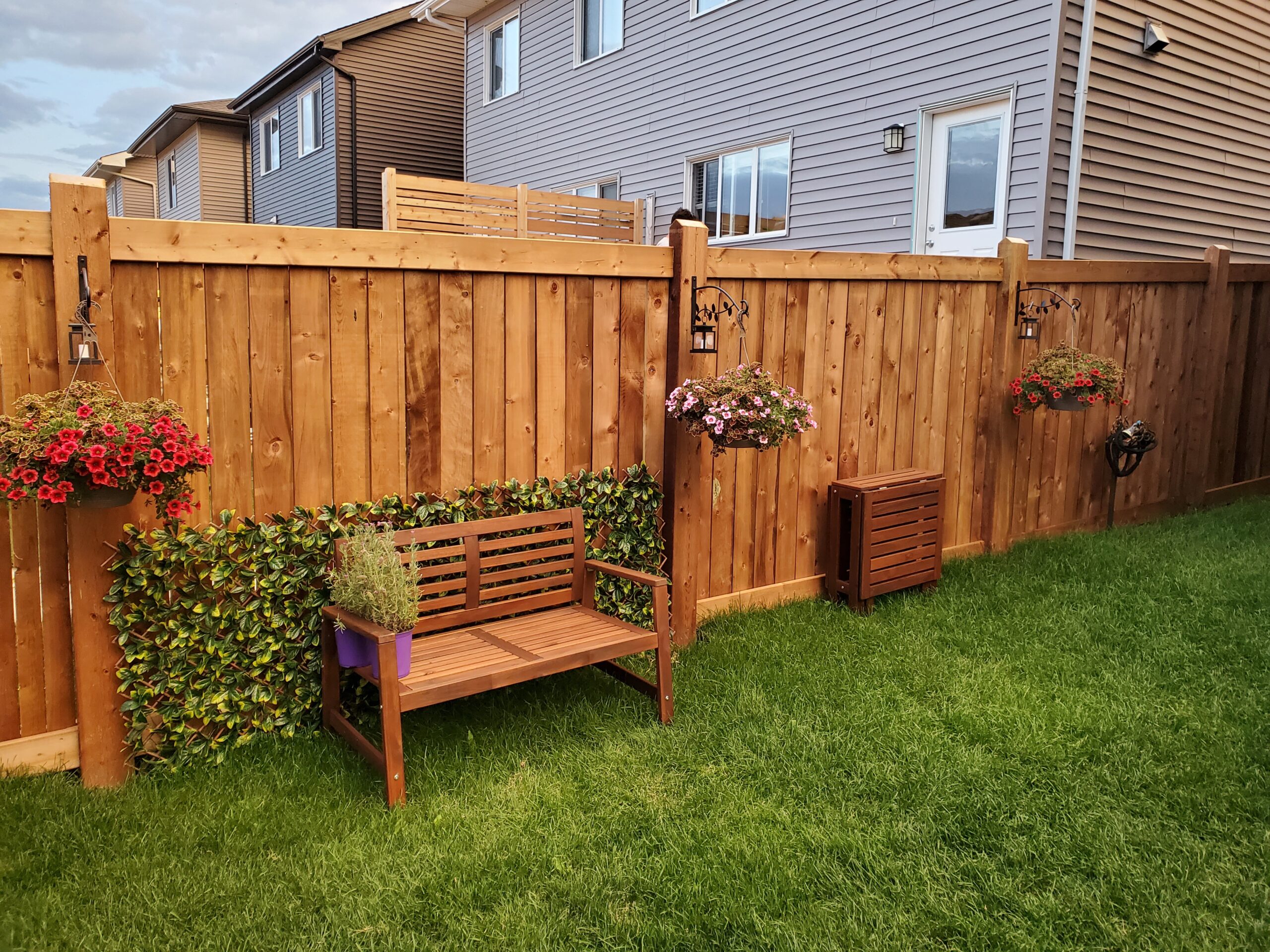 Finished backyard with pressure treated fence and landscaping as part of a custom deck project in Edmonton, Alberta