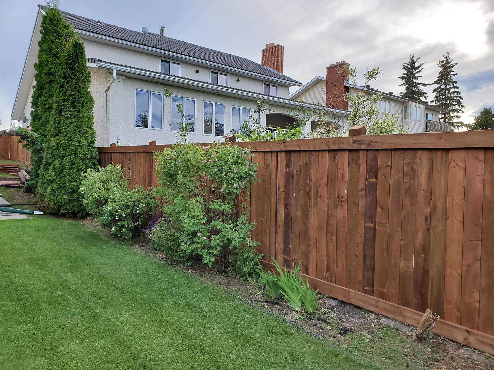 Long run of pressure-treated privacy fence along landscaped backyard built by Crestfield Decking in Edmonton, Alberta
