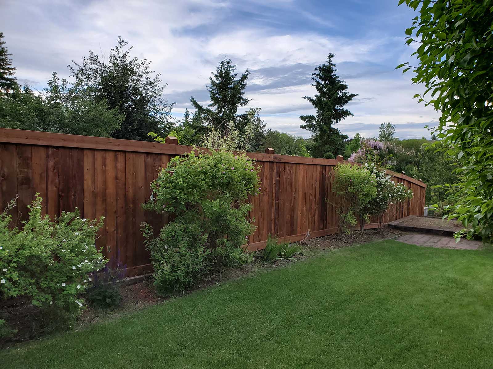 Pressure-treated privacy fence with post caps and garden landscaping built by Crestfield Decking in Edmonton, Alberta